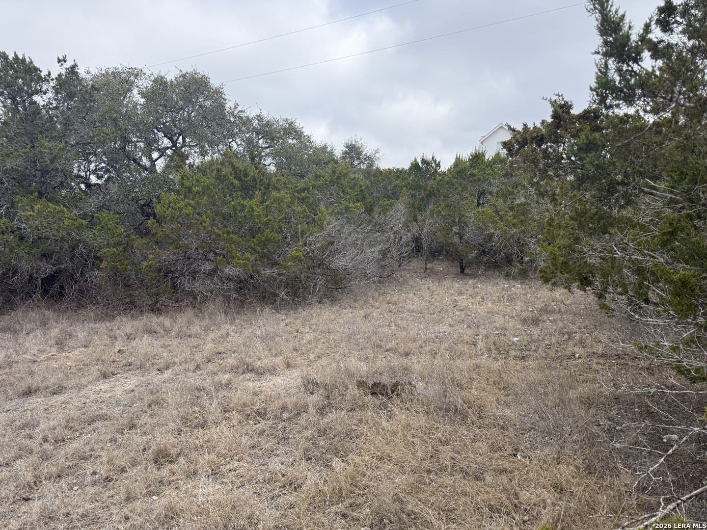 0.17 acres in Blanco County gallery image 3