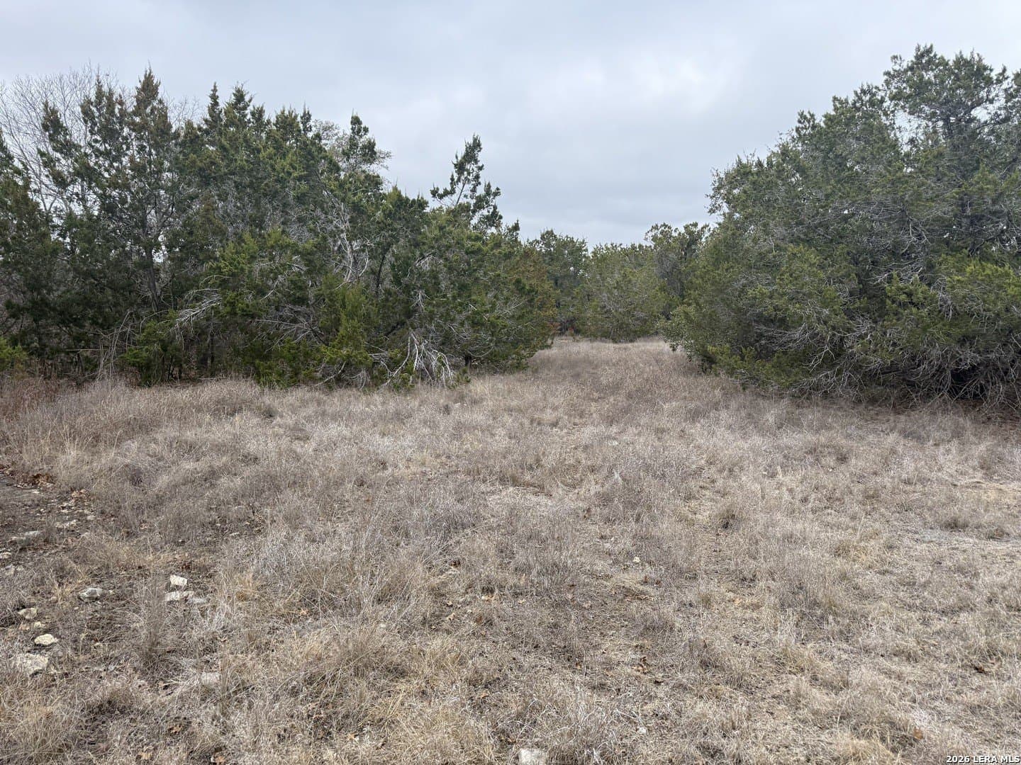 0.17 acres in Blanco County gallery image 4