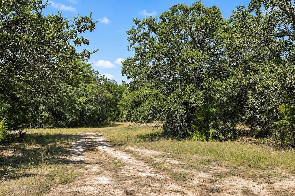 16.47 acres in Lavaca County - photo 8