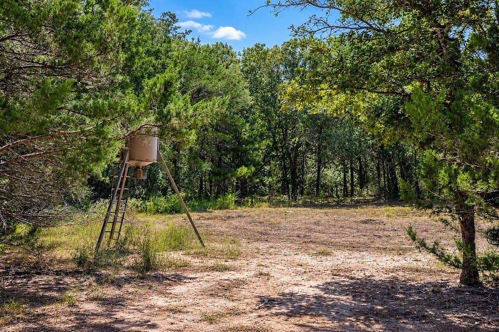 16.47 acres in Lavaca County - photo 9
