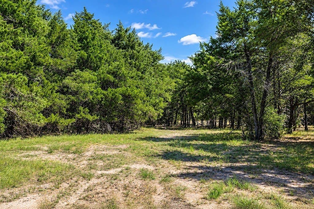 16.47 acres in Lavaca County - photo 12