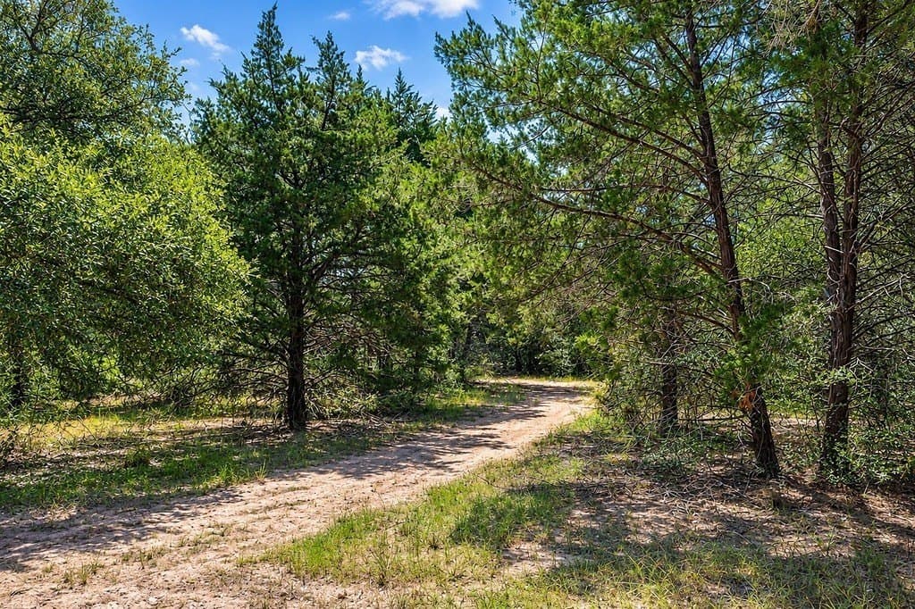 16.47 acres in Lavaca County - photo 10