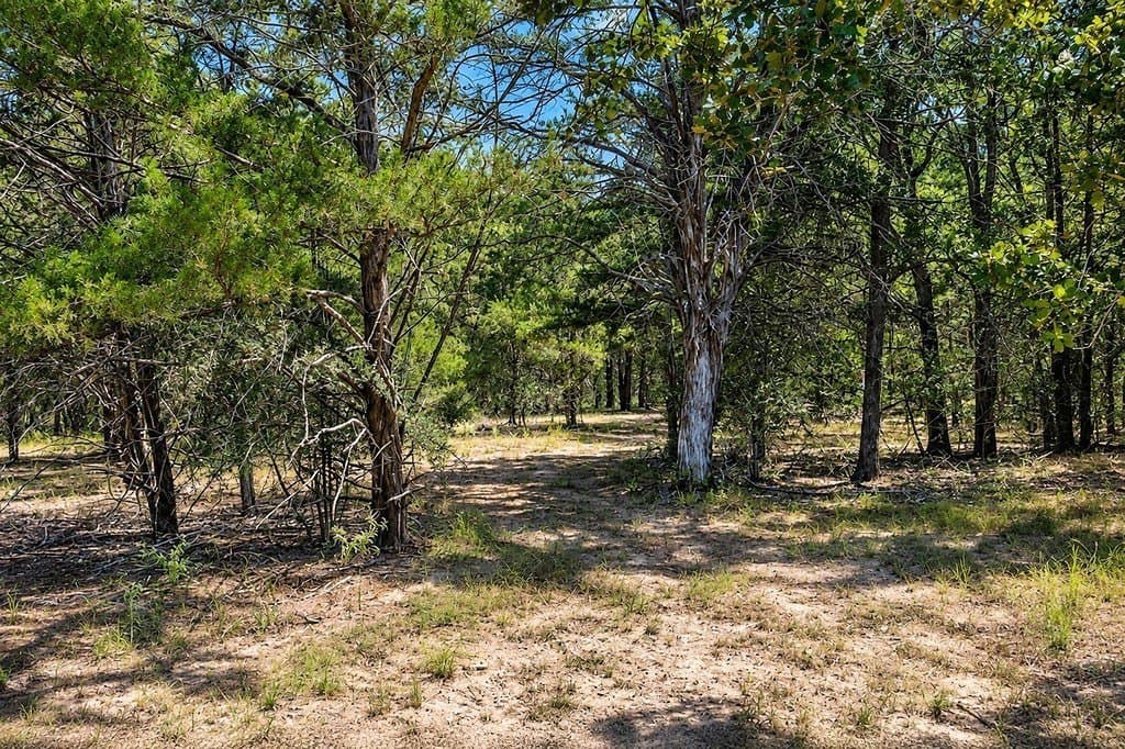 16.47 acres in Lavaca County - photo 13