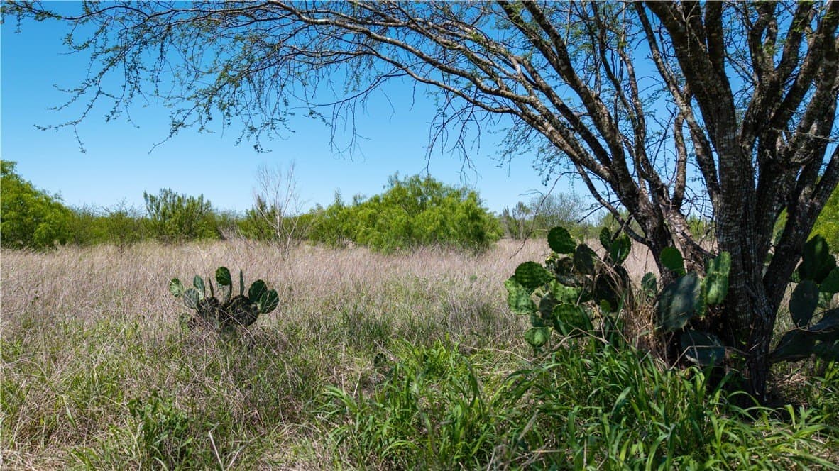 5.02 acres in Jim Wells County - photo 14
