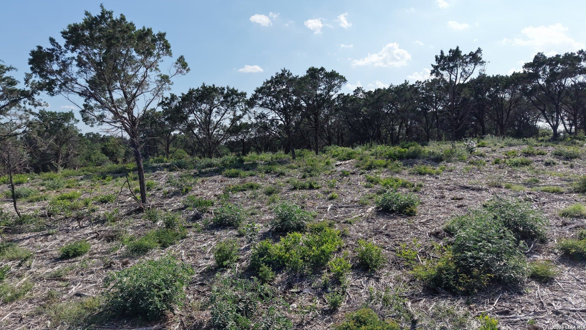 3.19 acres in Medina County - photo 11