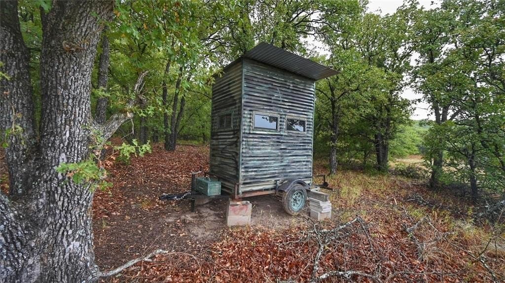 29.87 acres in Montague County gallery image 3