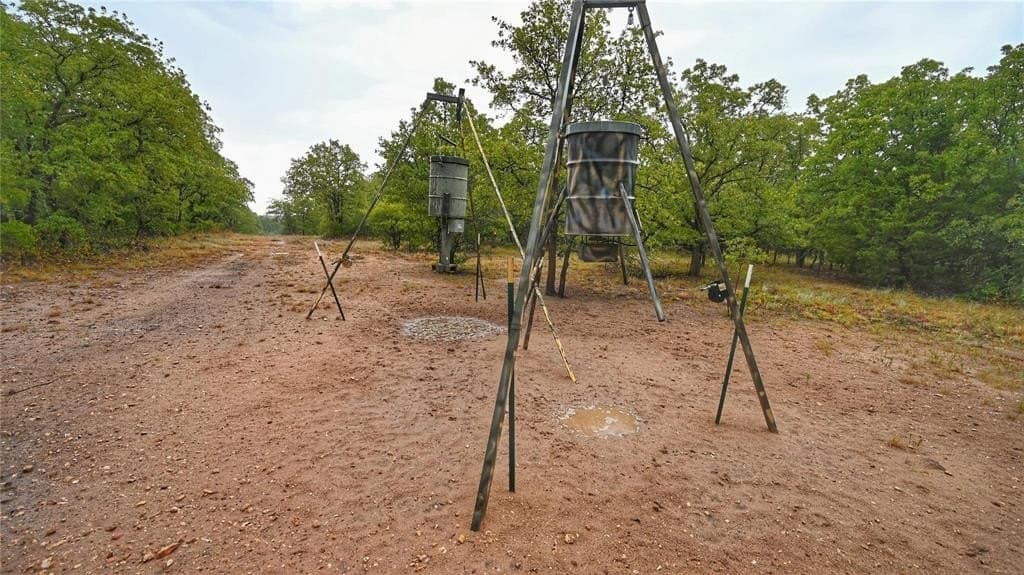 29.87 acres in Montague County gallery image 2