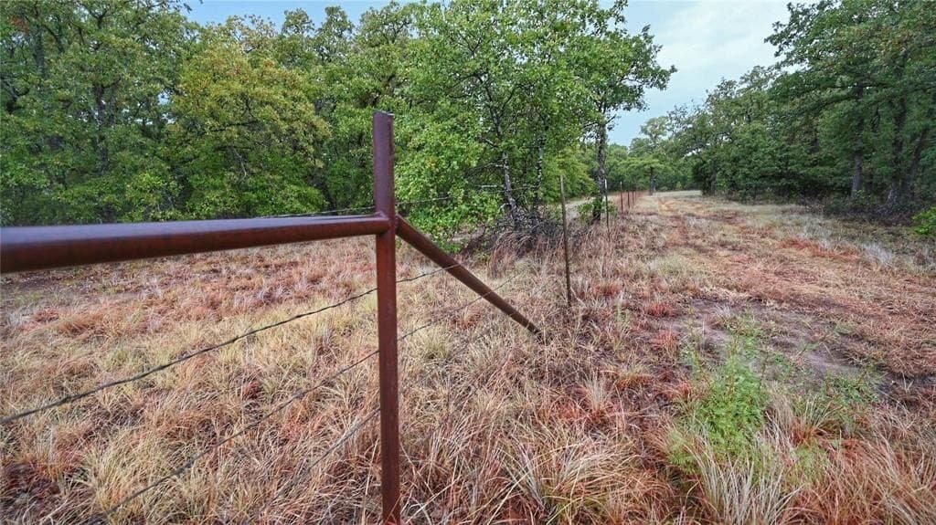 29.87 acres in Montague County gallery image 4