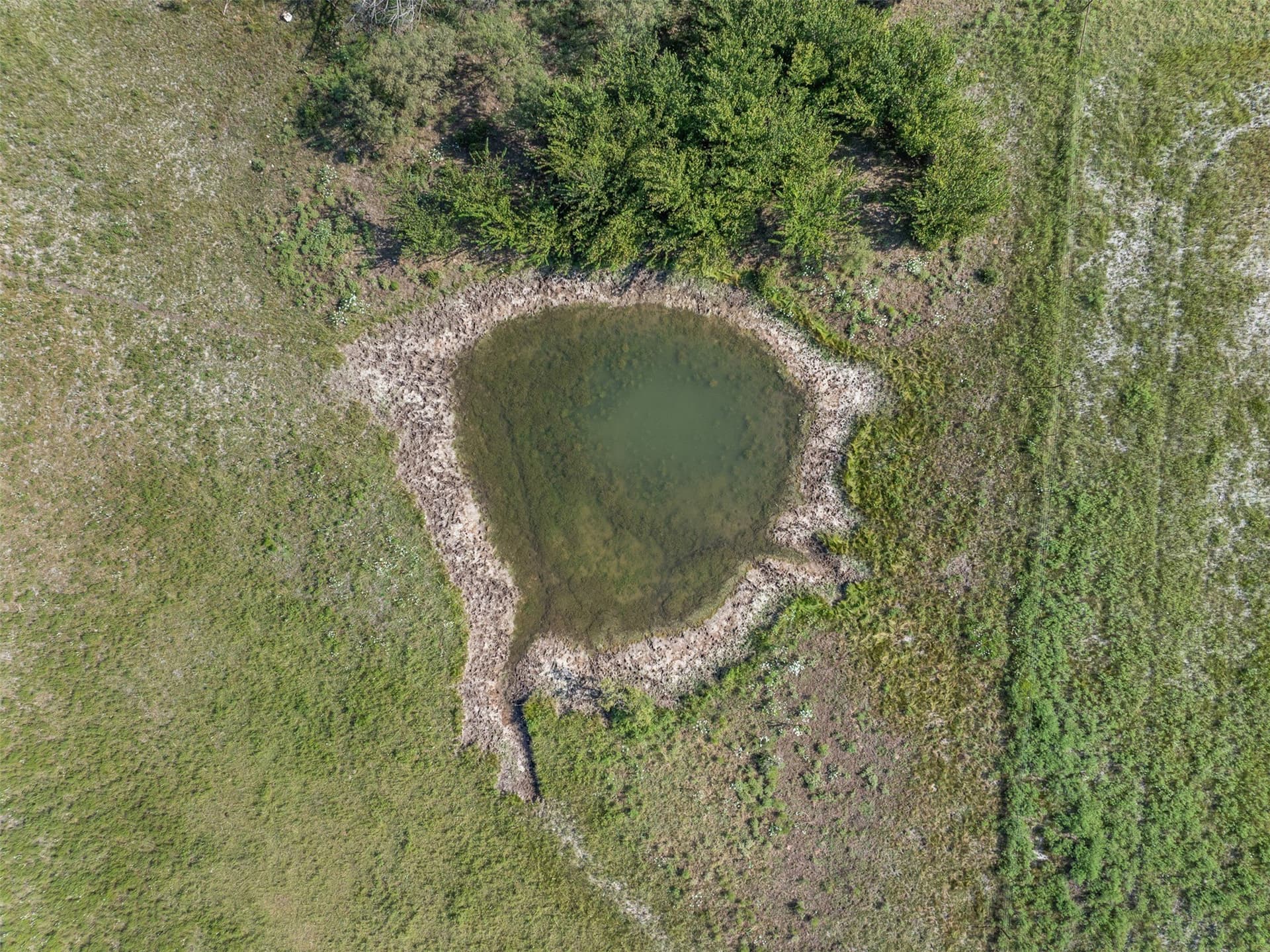 49.26 acres in Hamilton County - photo 9