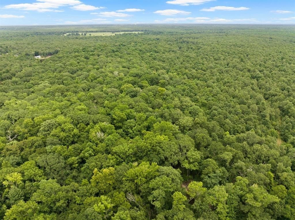 36.73 acres in Red River (TX) County gallery image 4