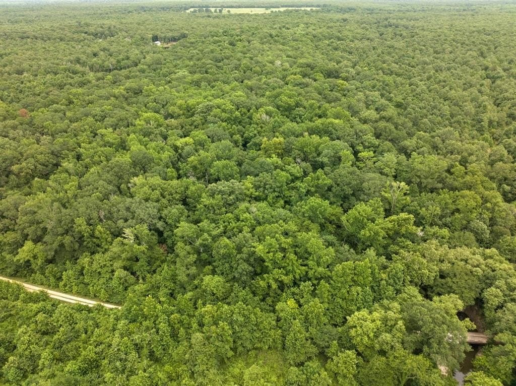36.73 acres in Red River (TX) County featured view