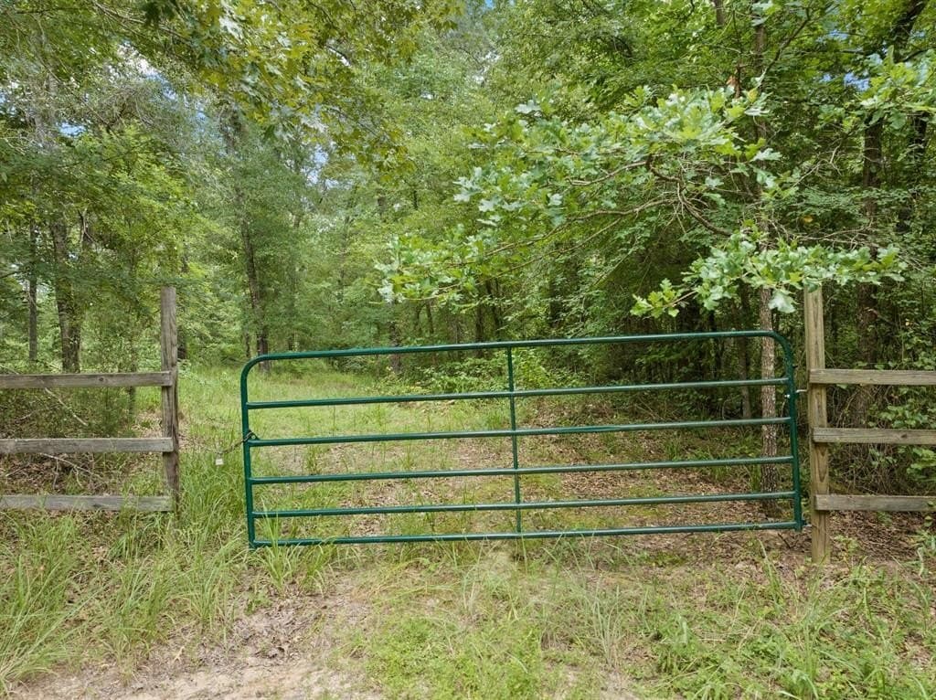 36.73 acres in Red River (TX) County gallery image 3