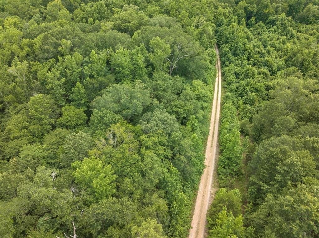 36.73 acres in Red River (TX) County gallery image 2