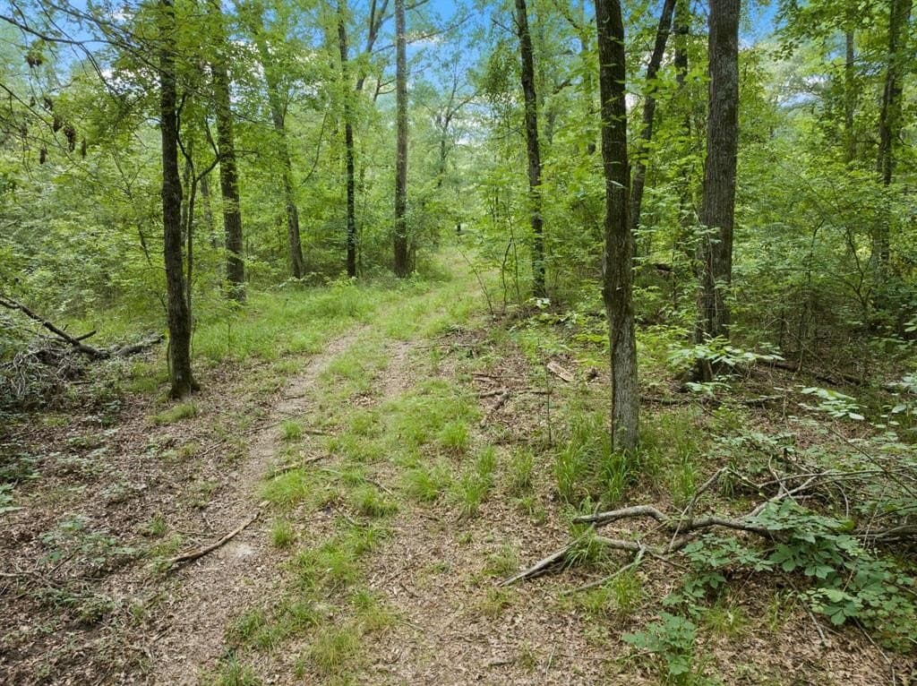 36.73 acres in Red River (TX) County