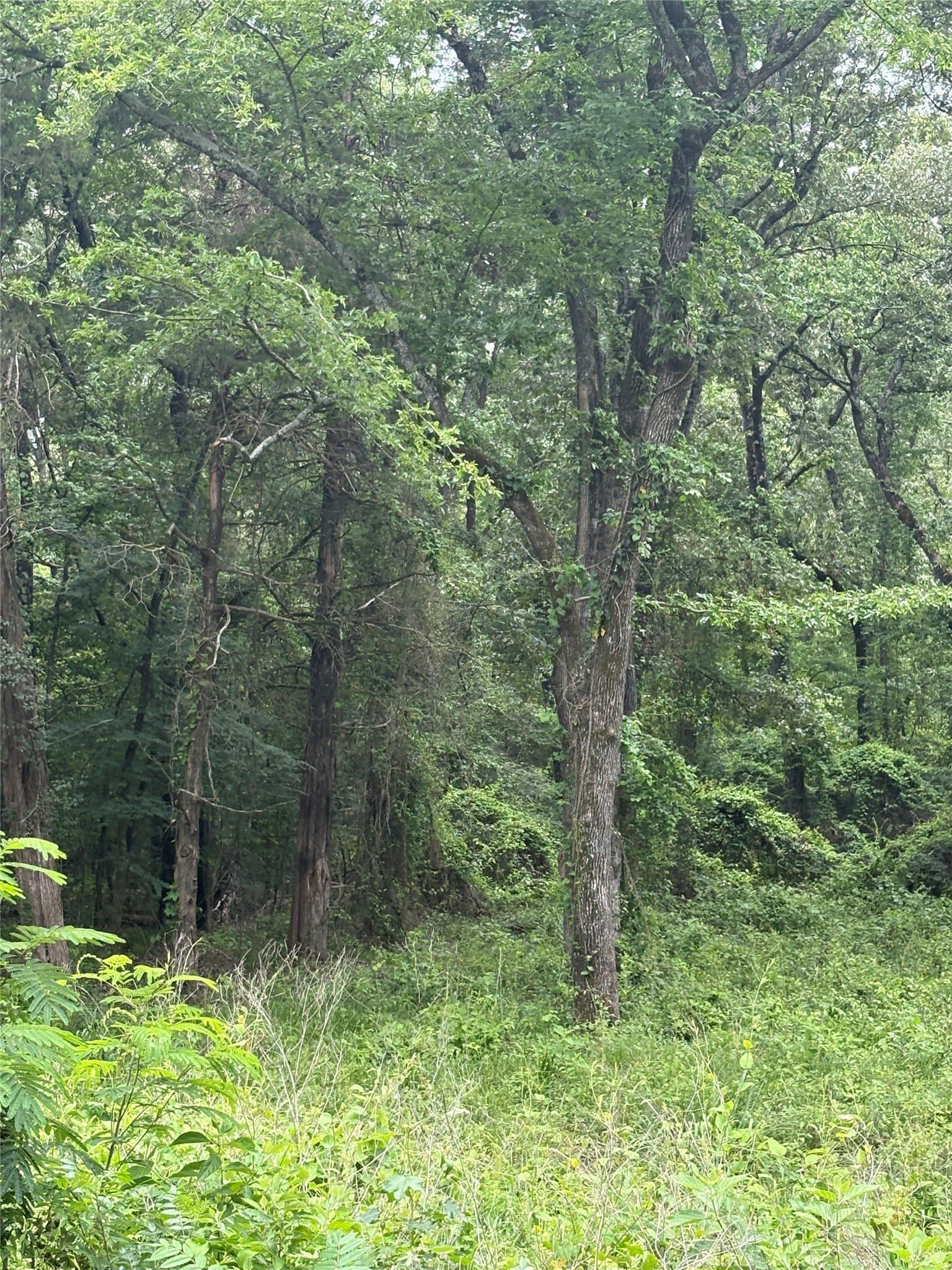 10.01 acres in Van Zandt County - photo 6