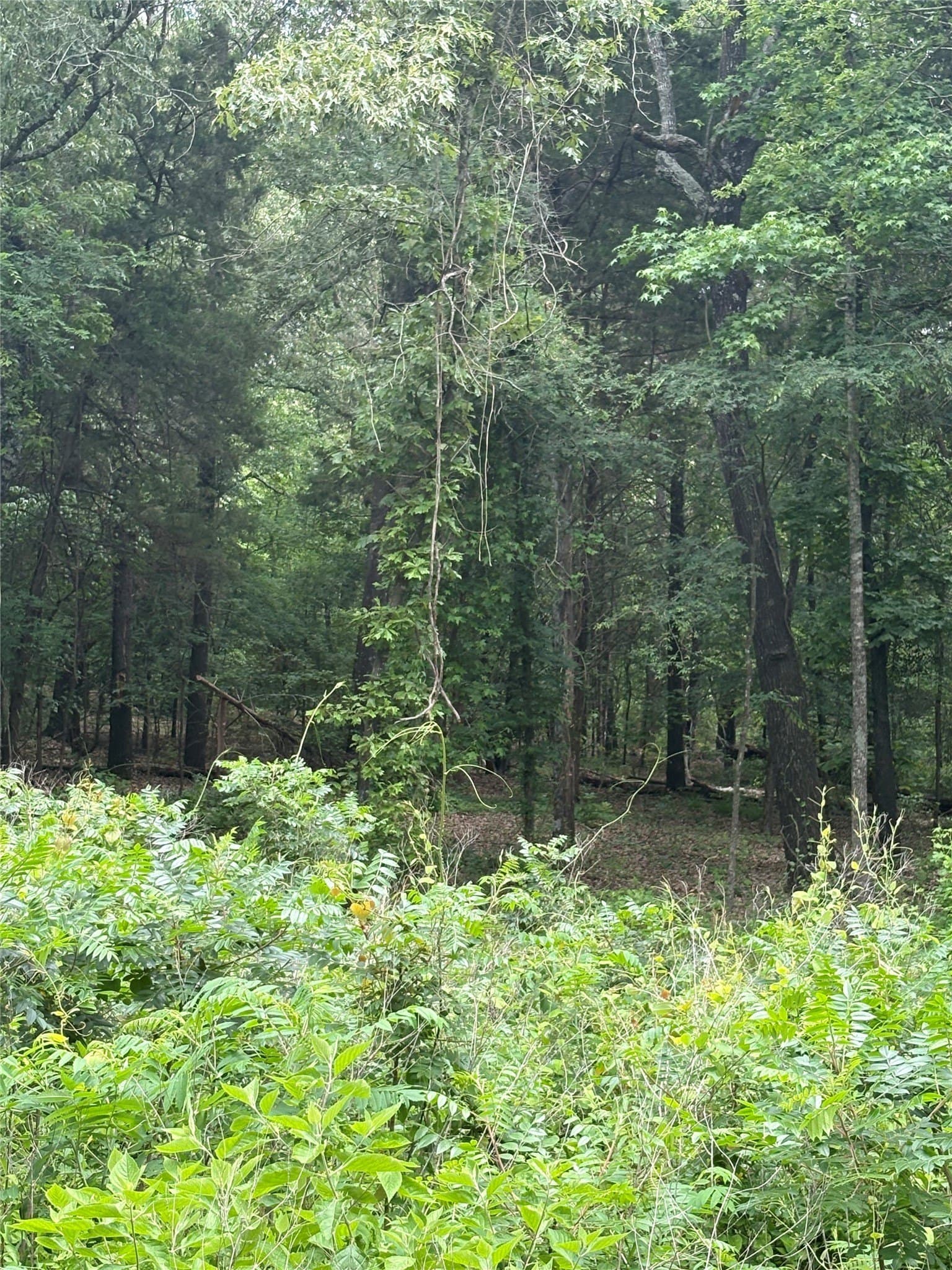 10.01 acres in Van Zandt County featured view