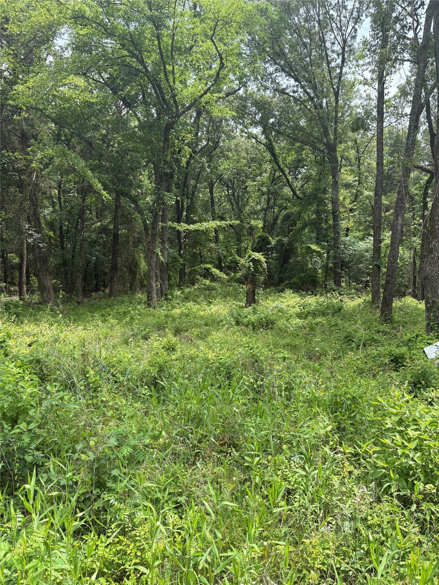10.01 acres in Van Zandt County gallery image 3