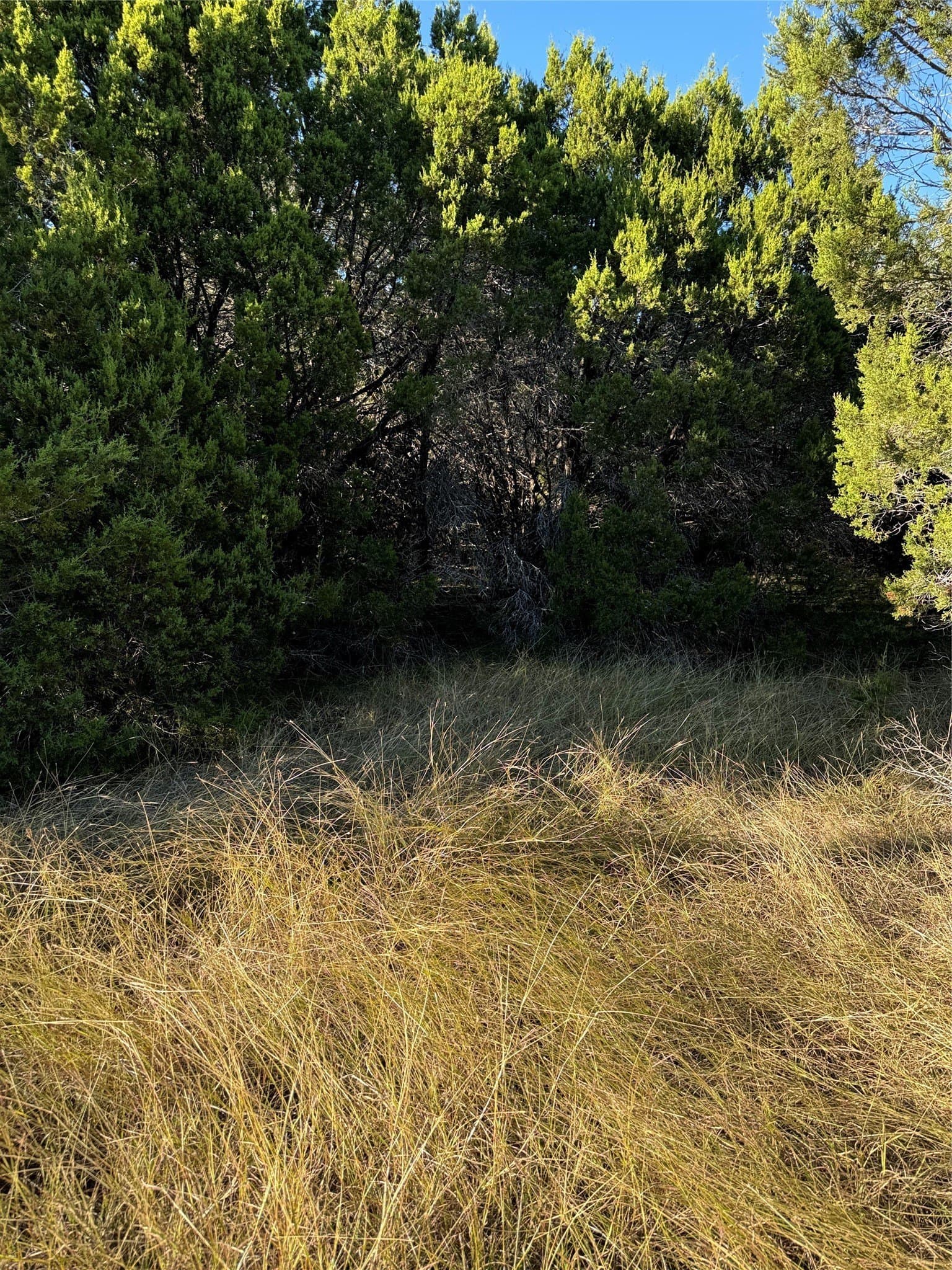 0.26 acres in Hill County - photo 6