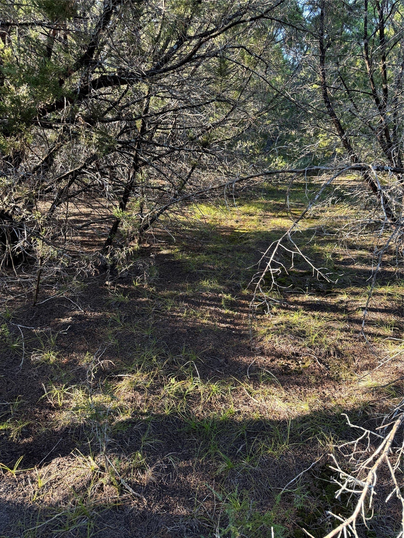 0.26 acres in Hill County - photo 16