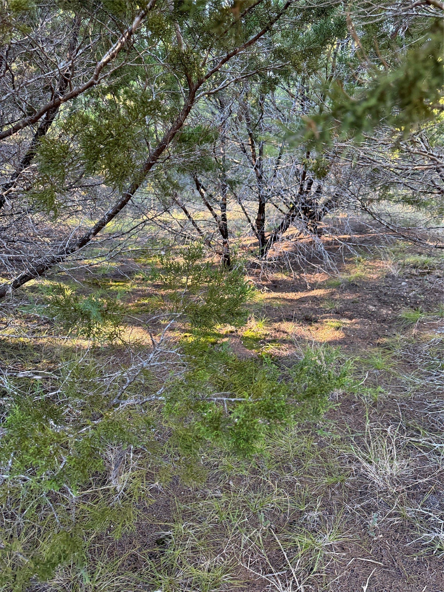 0.26 acres in Hill County - photo 13