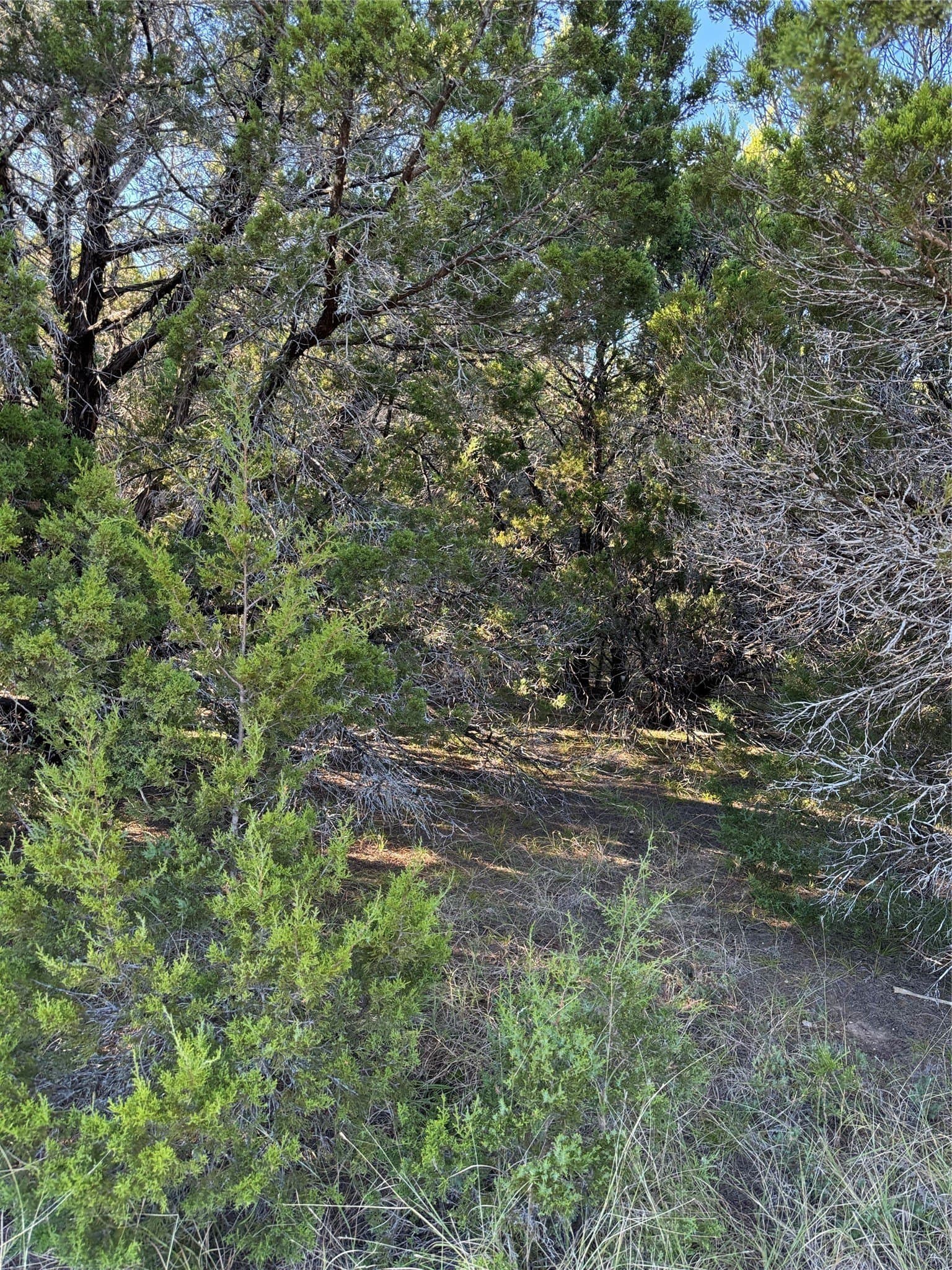 0.26 acres in Hill County - photo 9