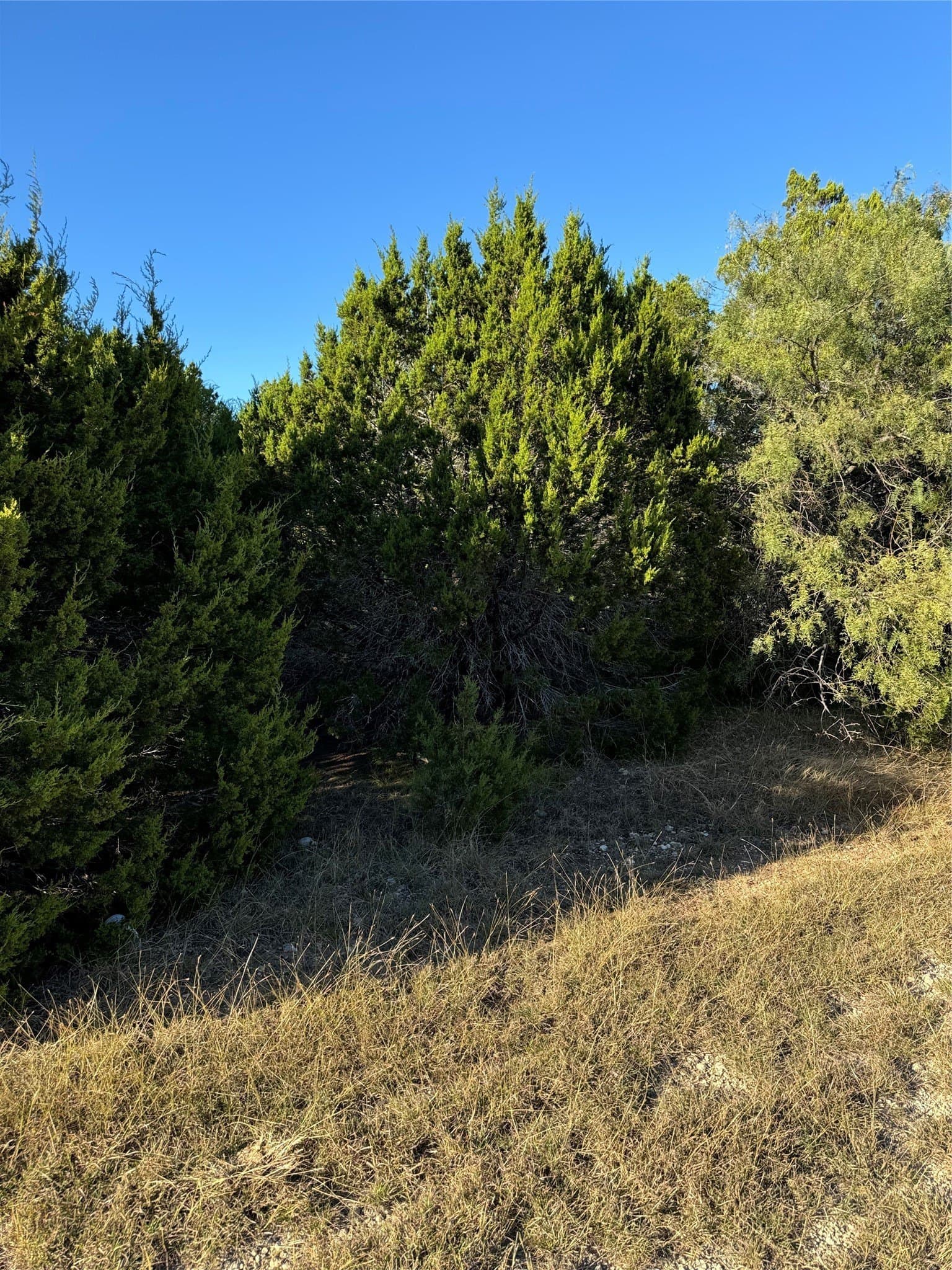 0.26 acres in Hill County - photo 11
