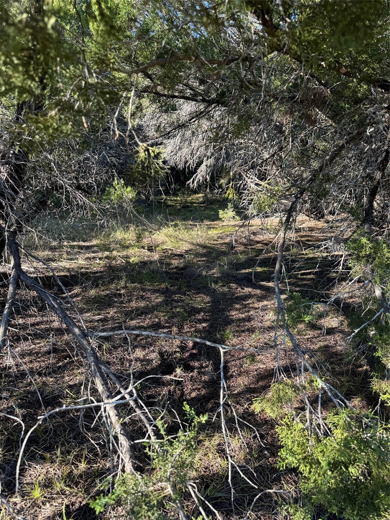 0.26 acres in Hill County - photo 8