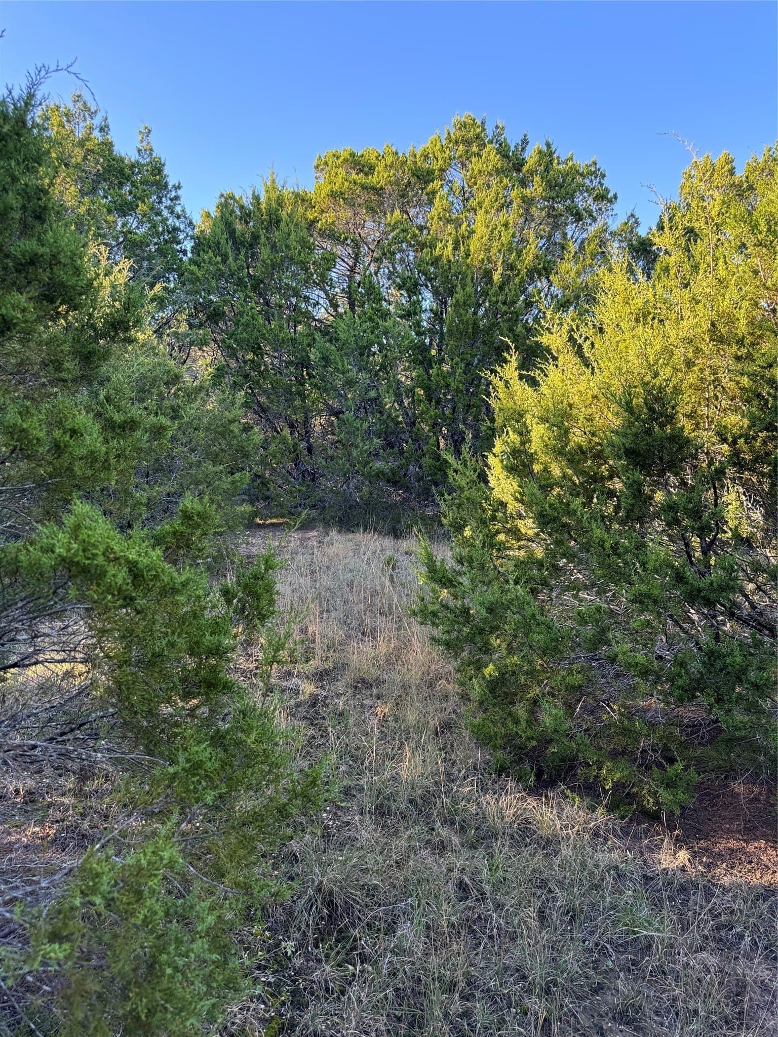 0.26 acres in Hill County - photo 14