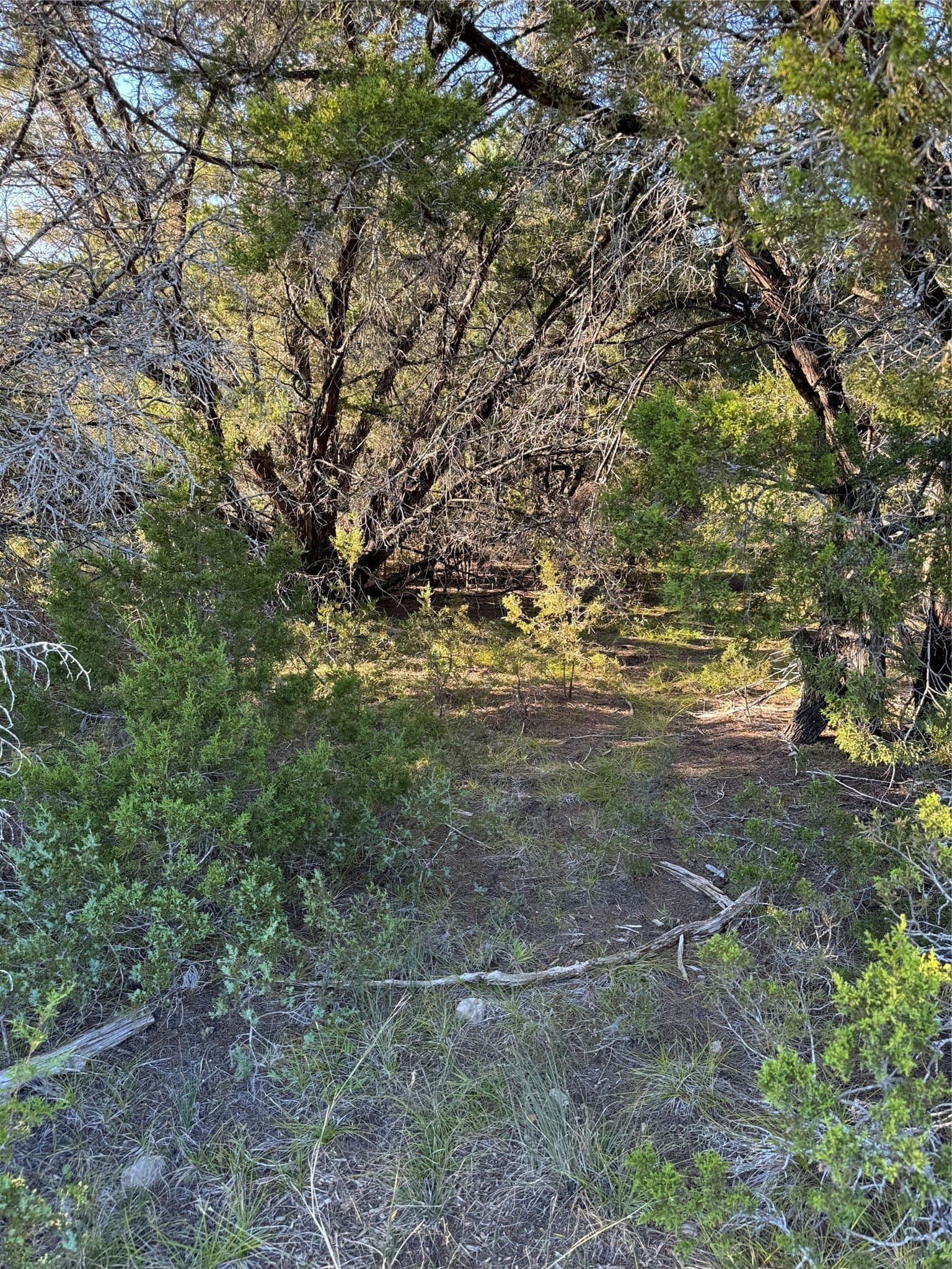 0.26 acres in Hill County - photo 10