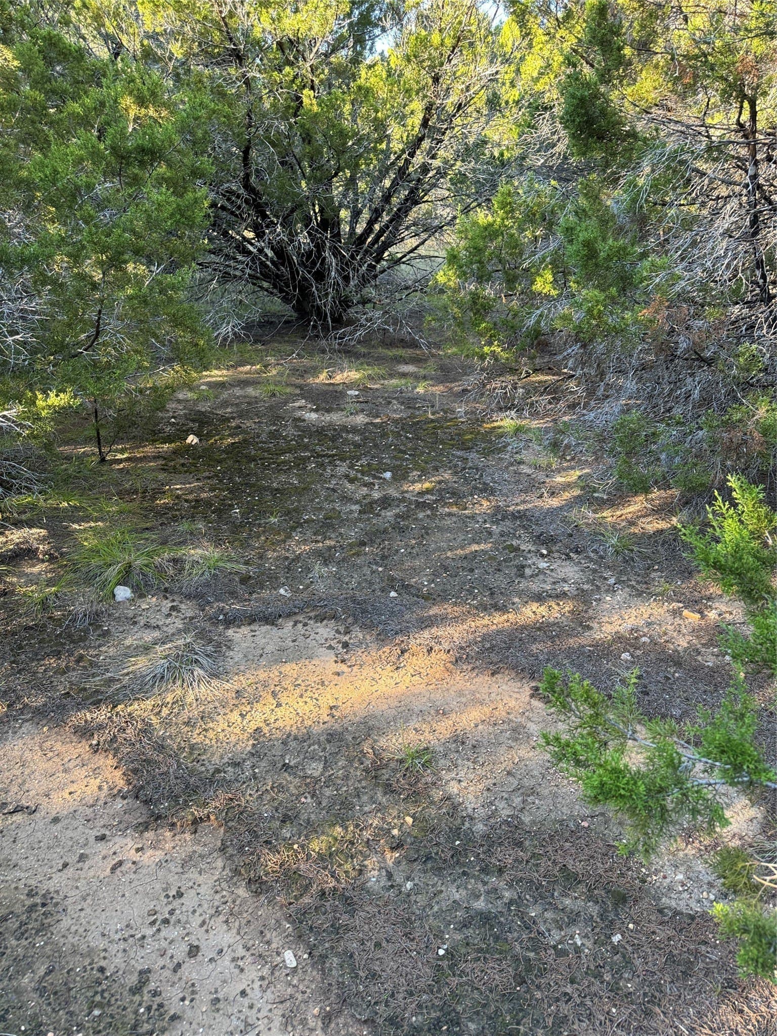 0.26 acres in Hill County - photo 19