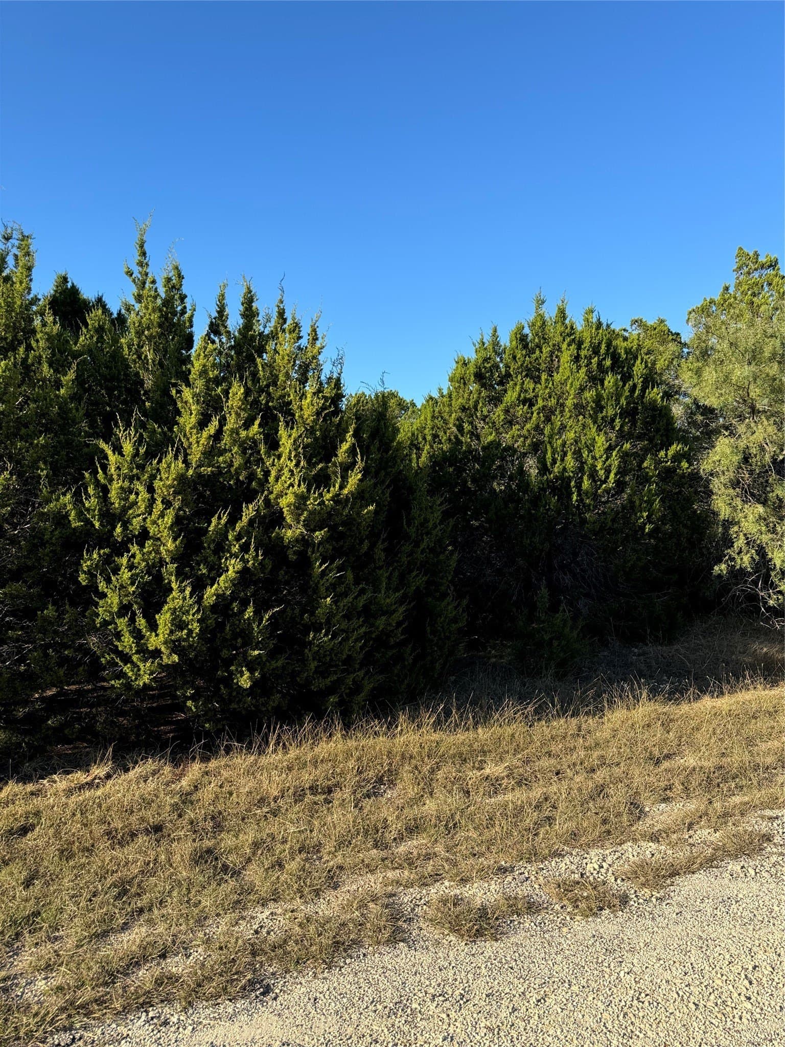 0.26 acres in Hill County - photo 12