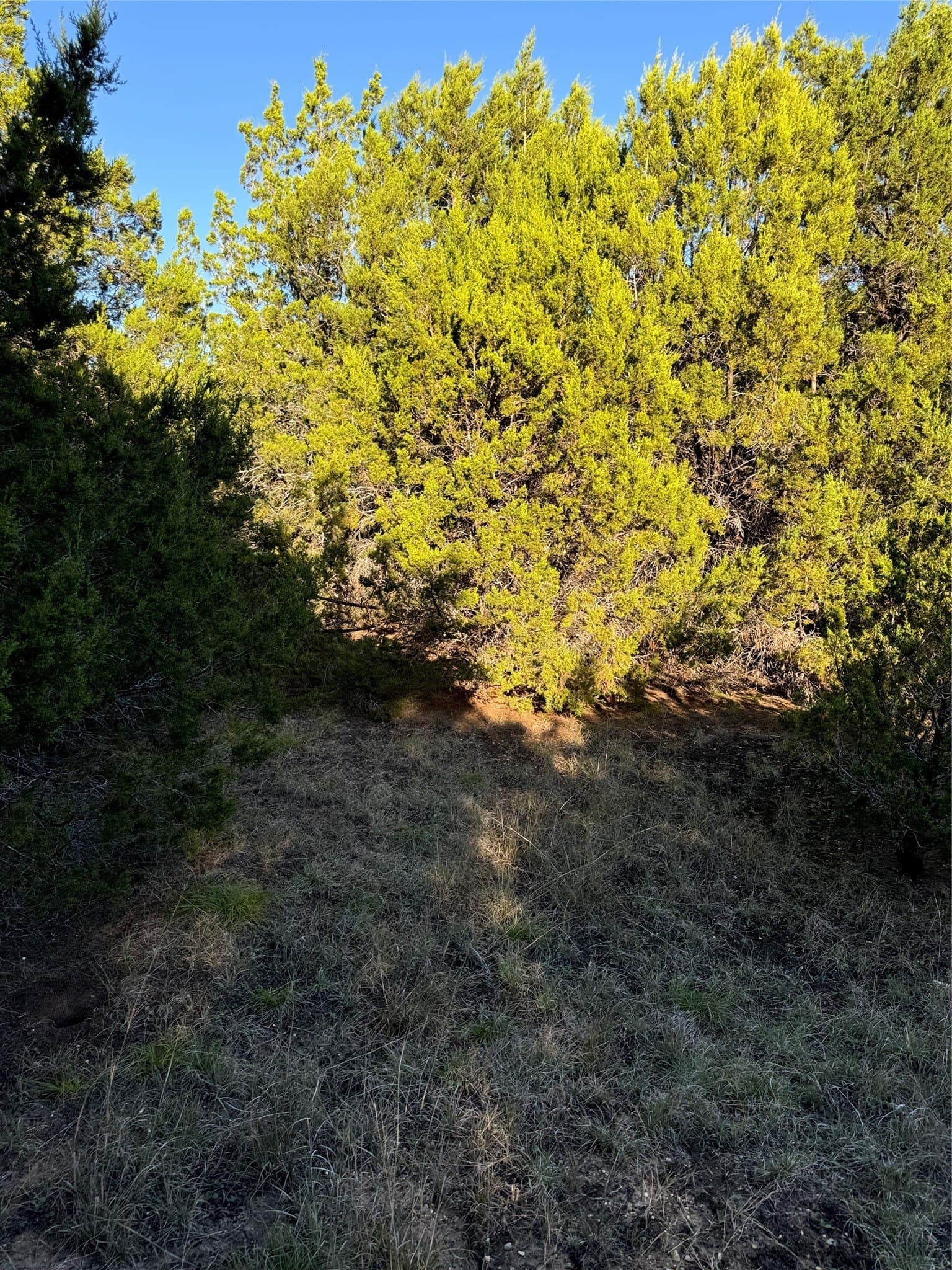 0.26 acres in Hill County - photo 15