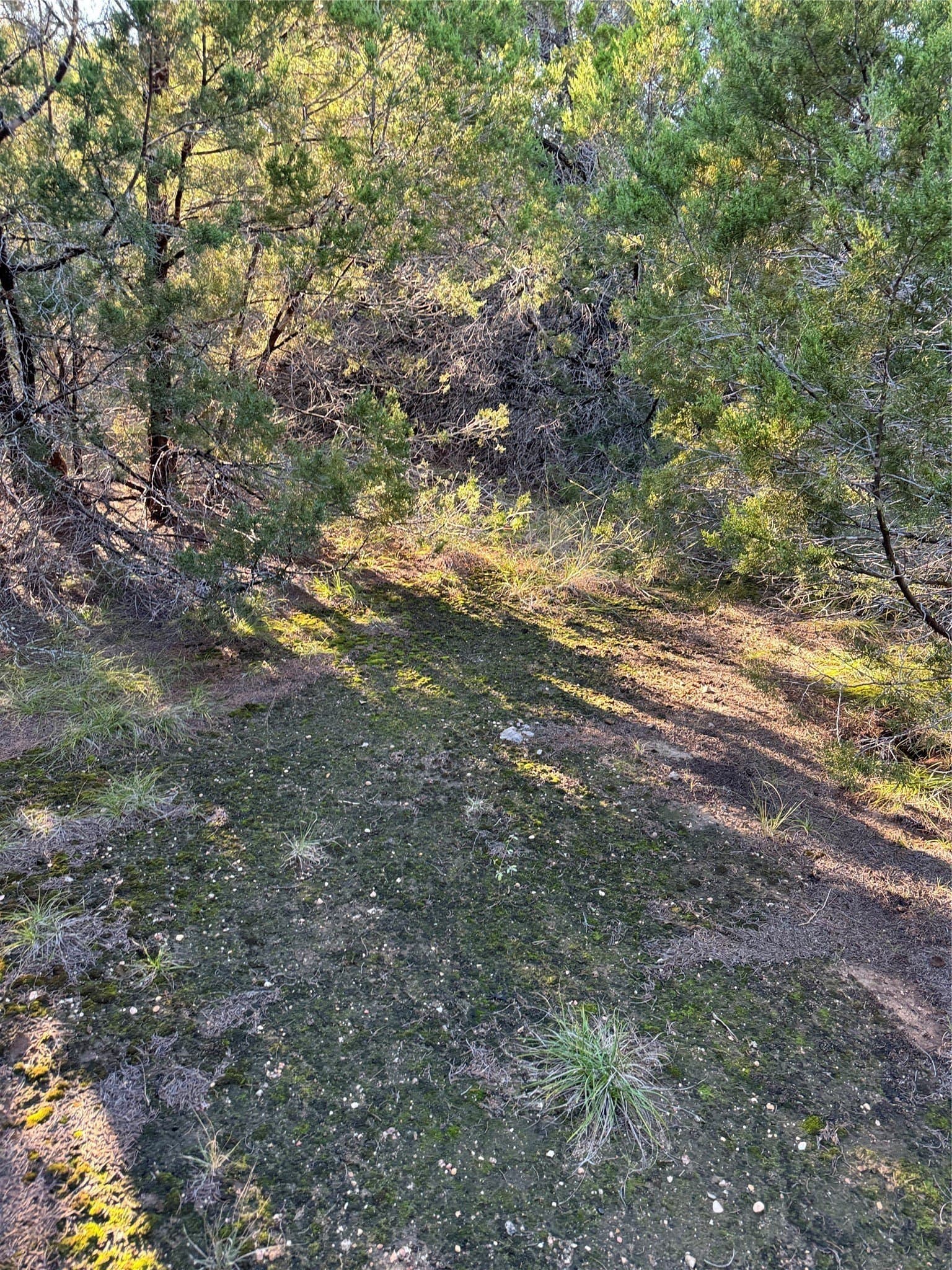 0.26 acres in Hill County - photo 18