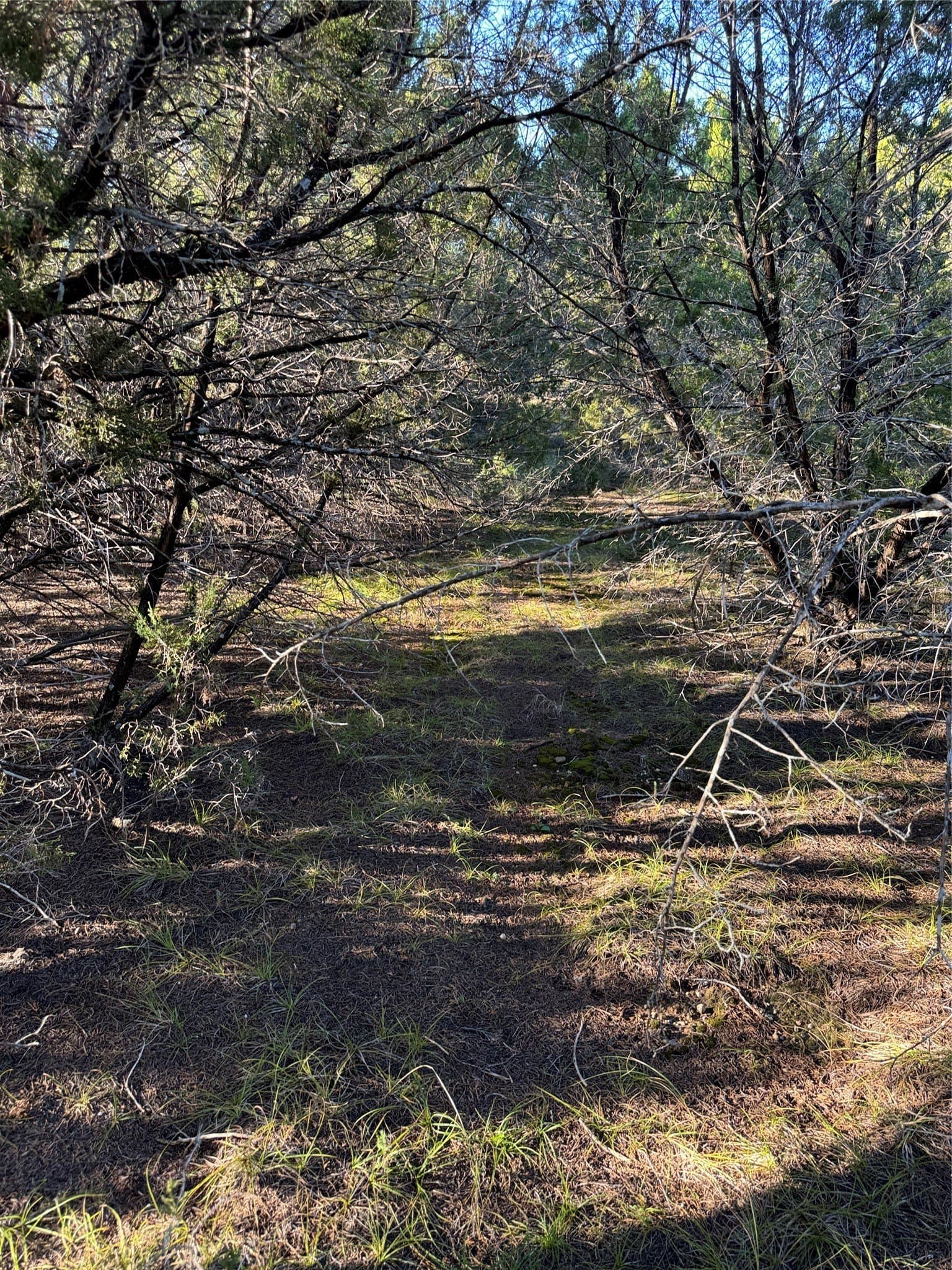 0.26 acres in Hill County - photo 17