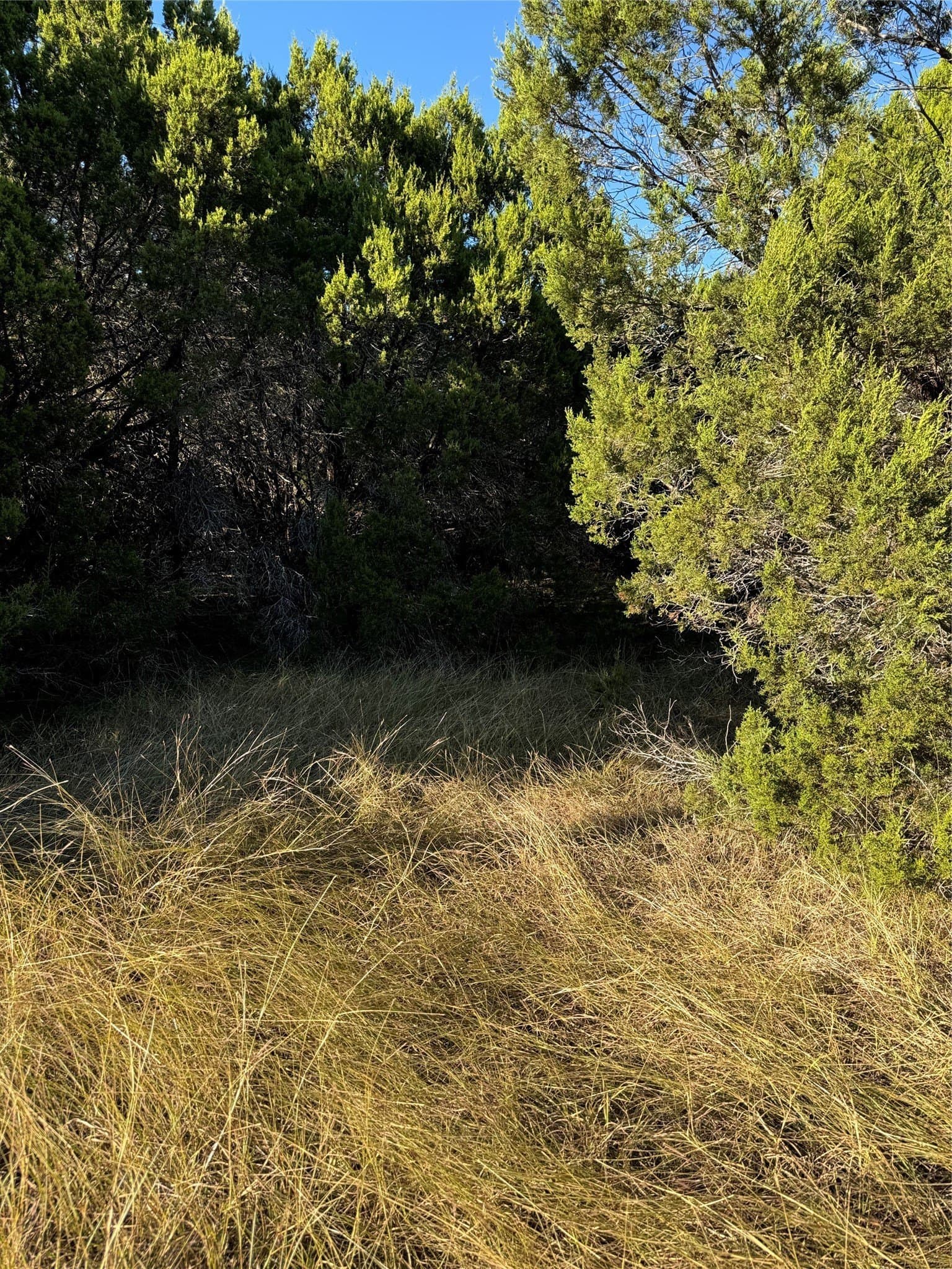 0.26 acres in Hill County - photo 7