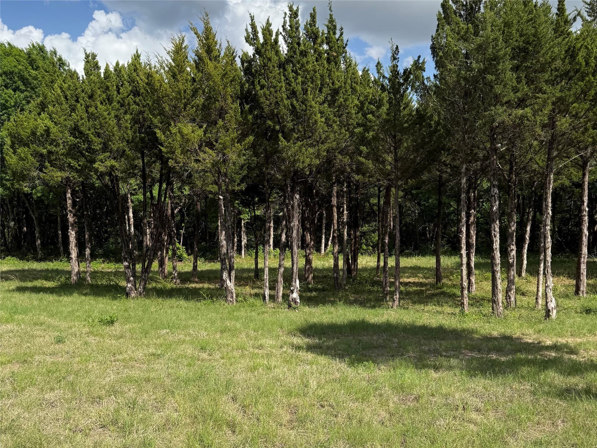 23.24 acres in Dallas County - photo 15