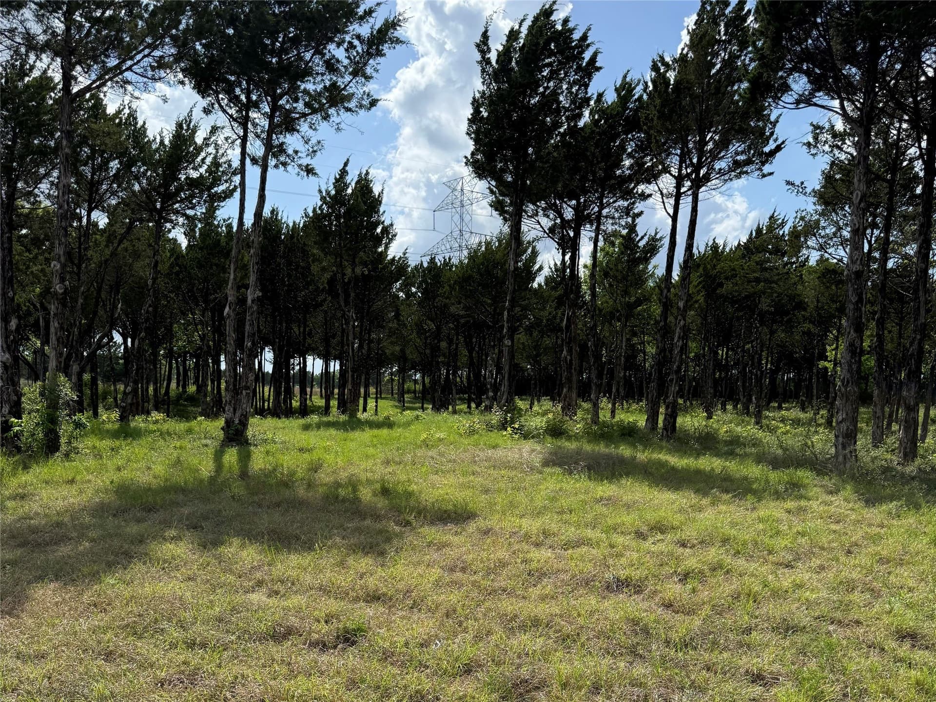 23.24 acres in Dallas County - photo 16