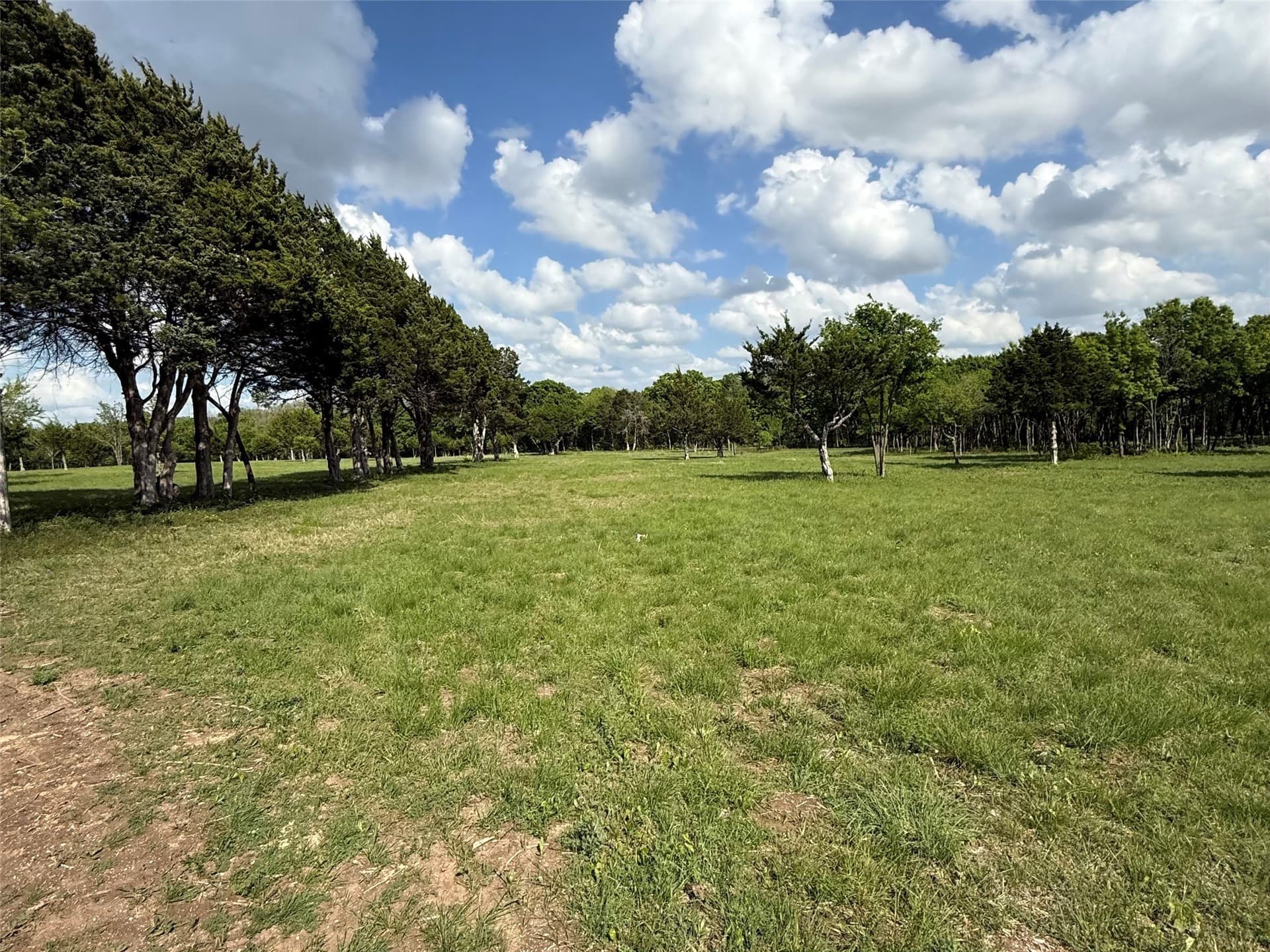 23.24 acres in Dallas County - photo 10