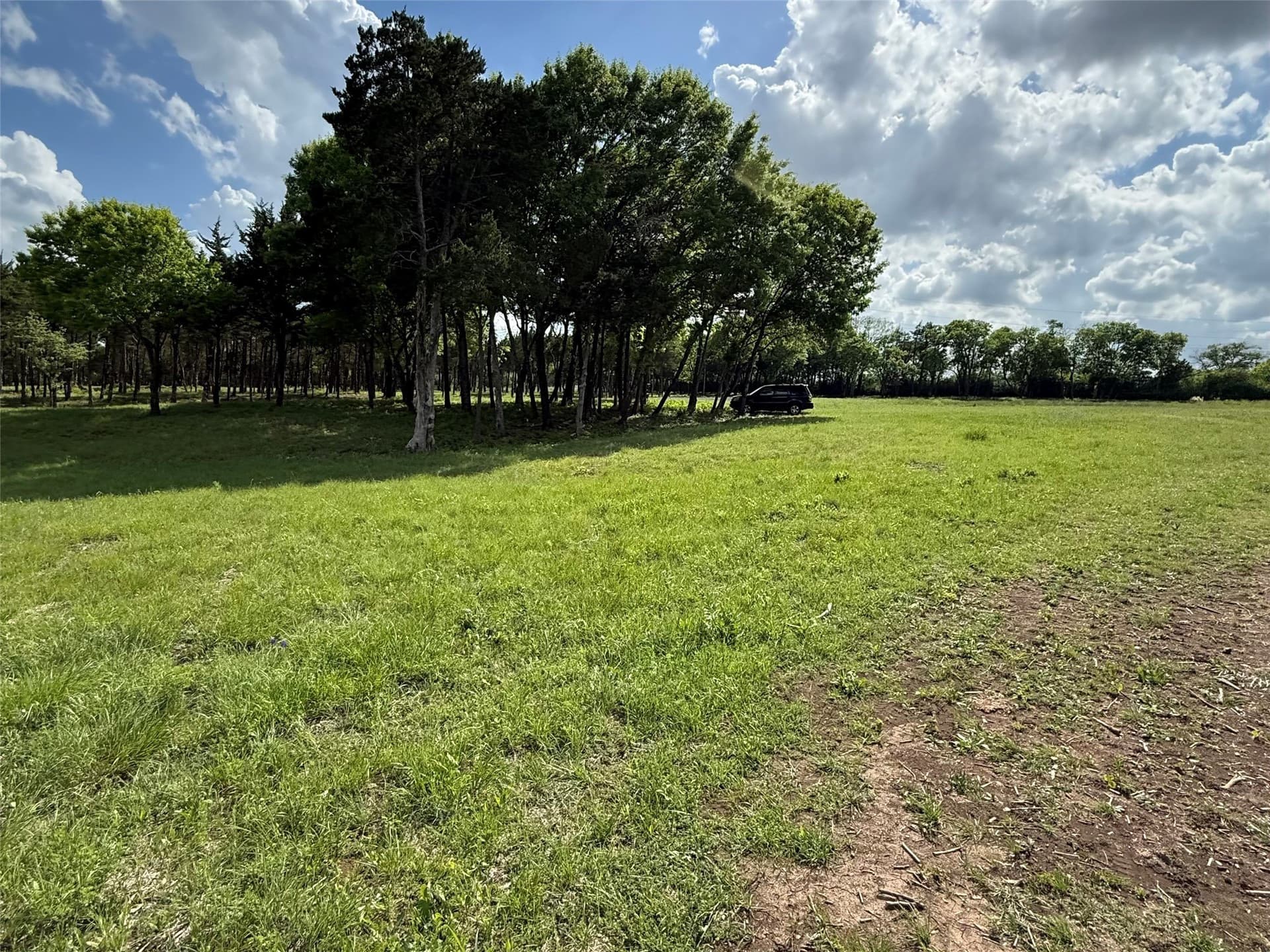 23.24 acres in Dallas County - photo 12