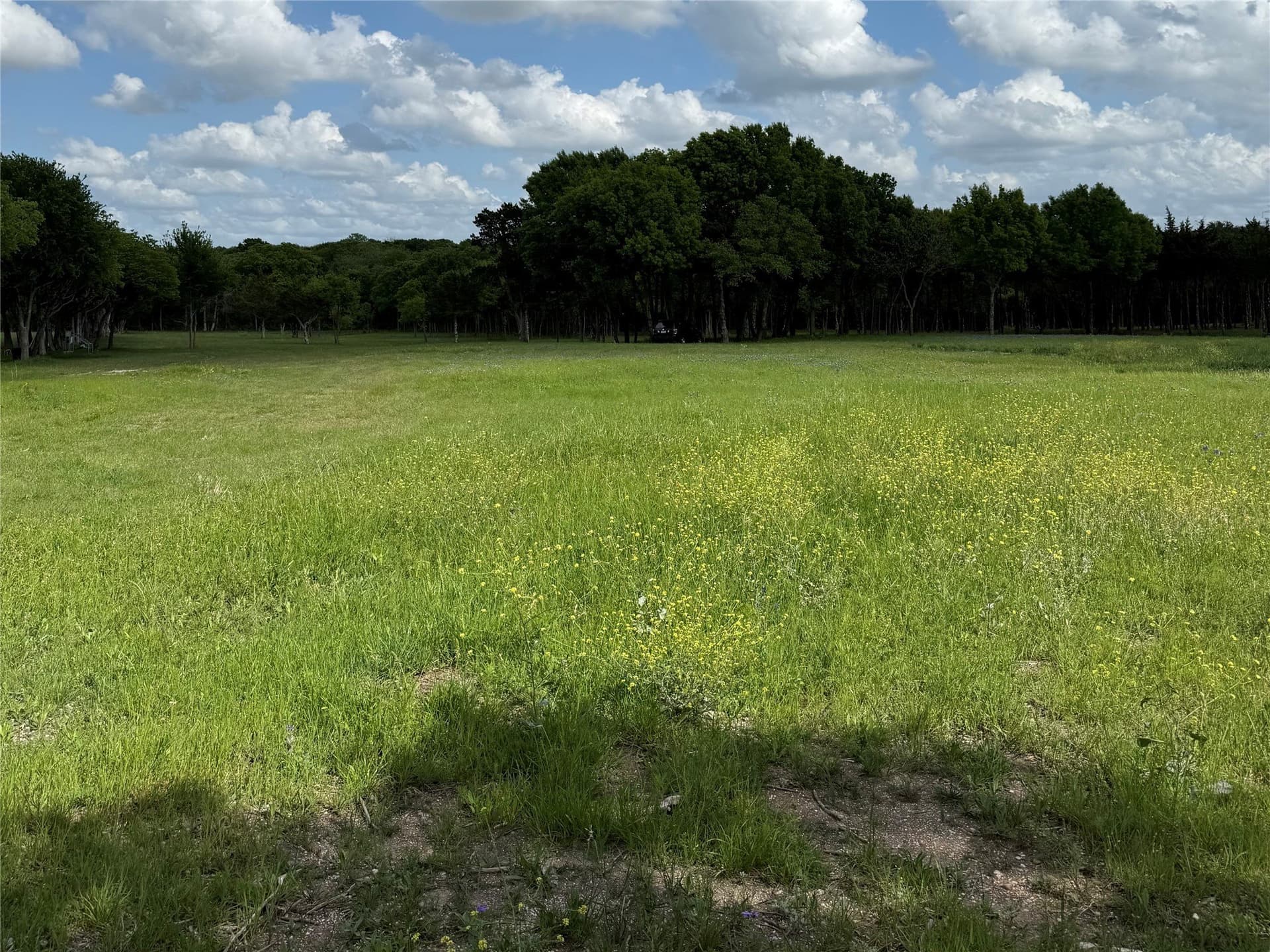 23.24 acres in Dallas County - photo 14