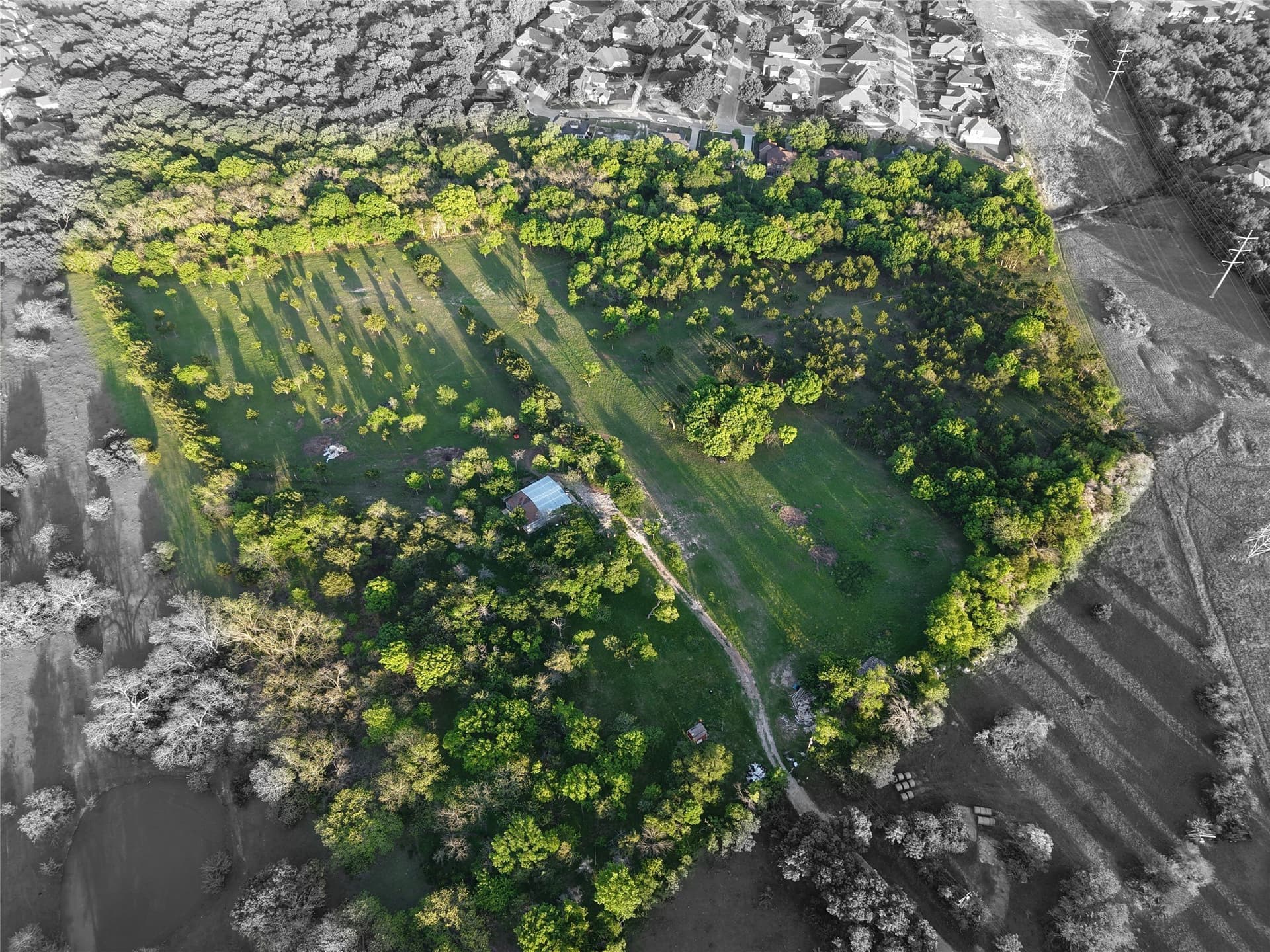 23.24 acres in Dallas County - photo 4
