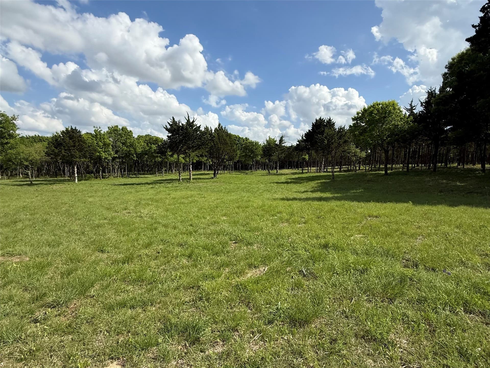 23.24 acres in Dallas County - photo 11