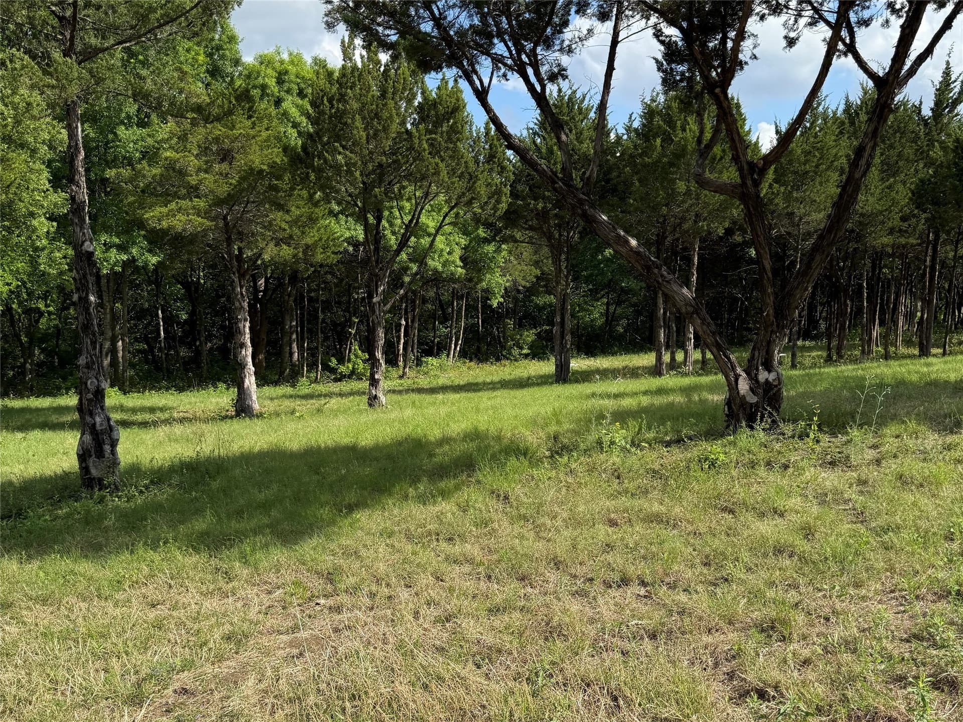 23.24 acres in Dallas County - photo 13