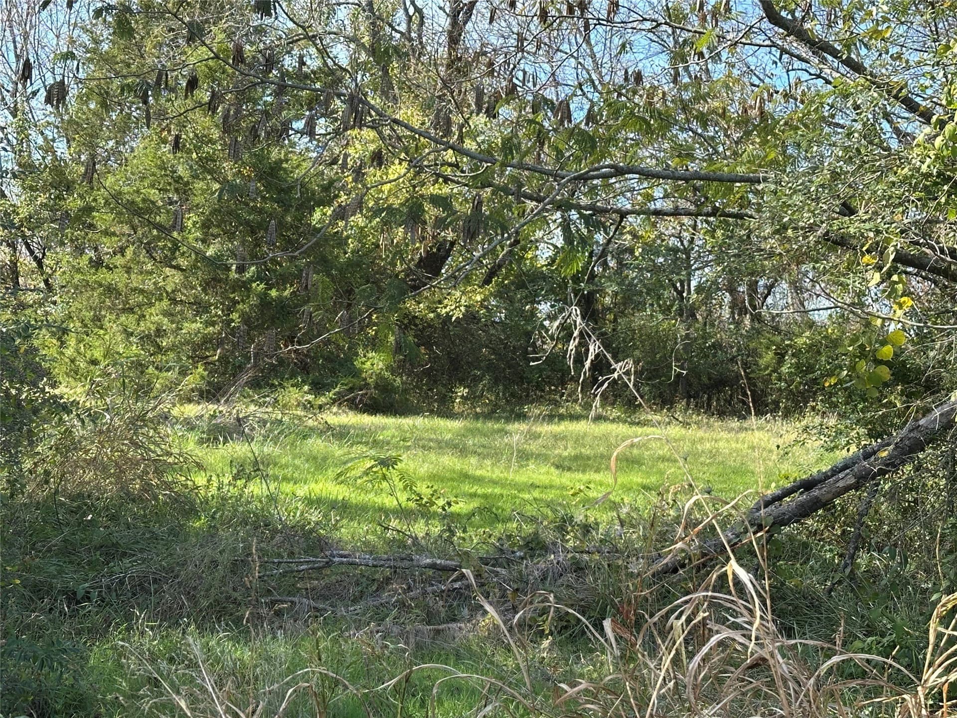1.61 acres in Delta County gallery image 2