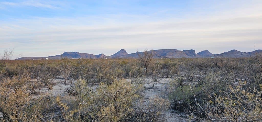 5 acres in Brewster County gallery image 2