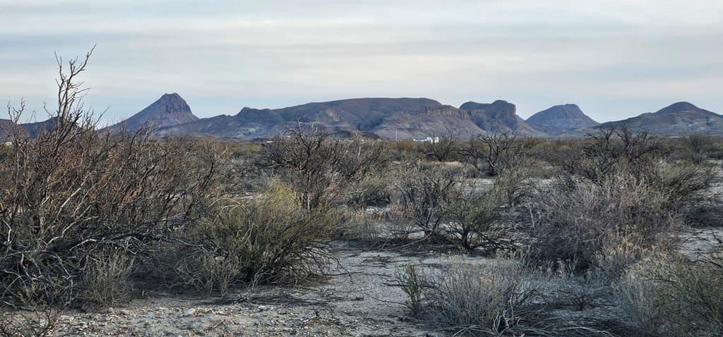 5 acres in Brewster County - photo 11