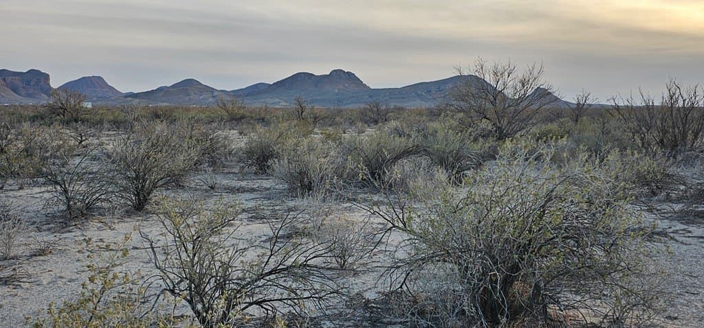 5 acres in Brewster County - photo 9
