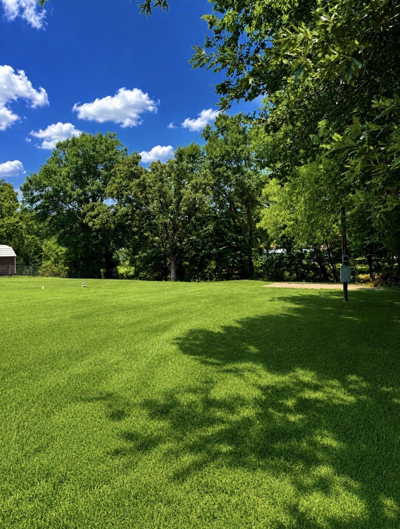 0.36 acres in Henderson County gallery image 3