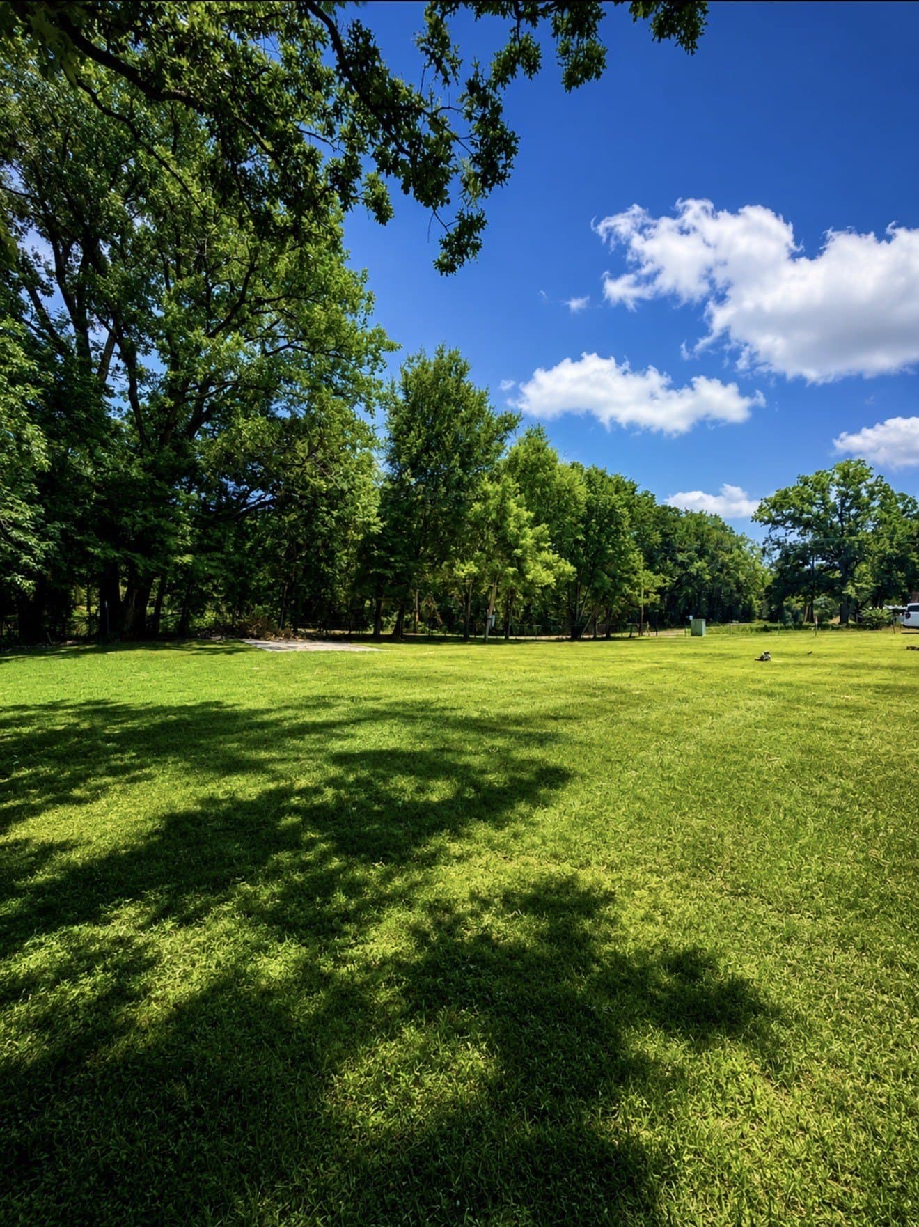 0.36 acres in Henderson County gallery image 2
