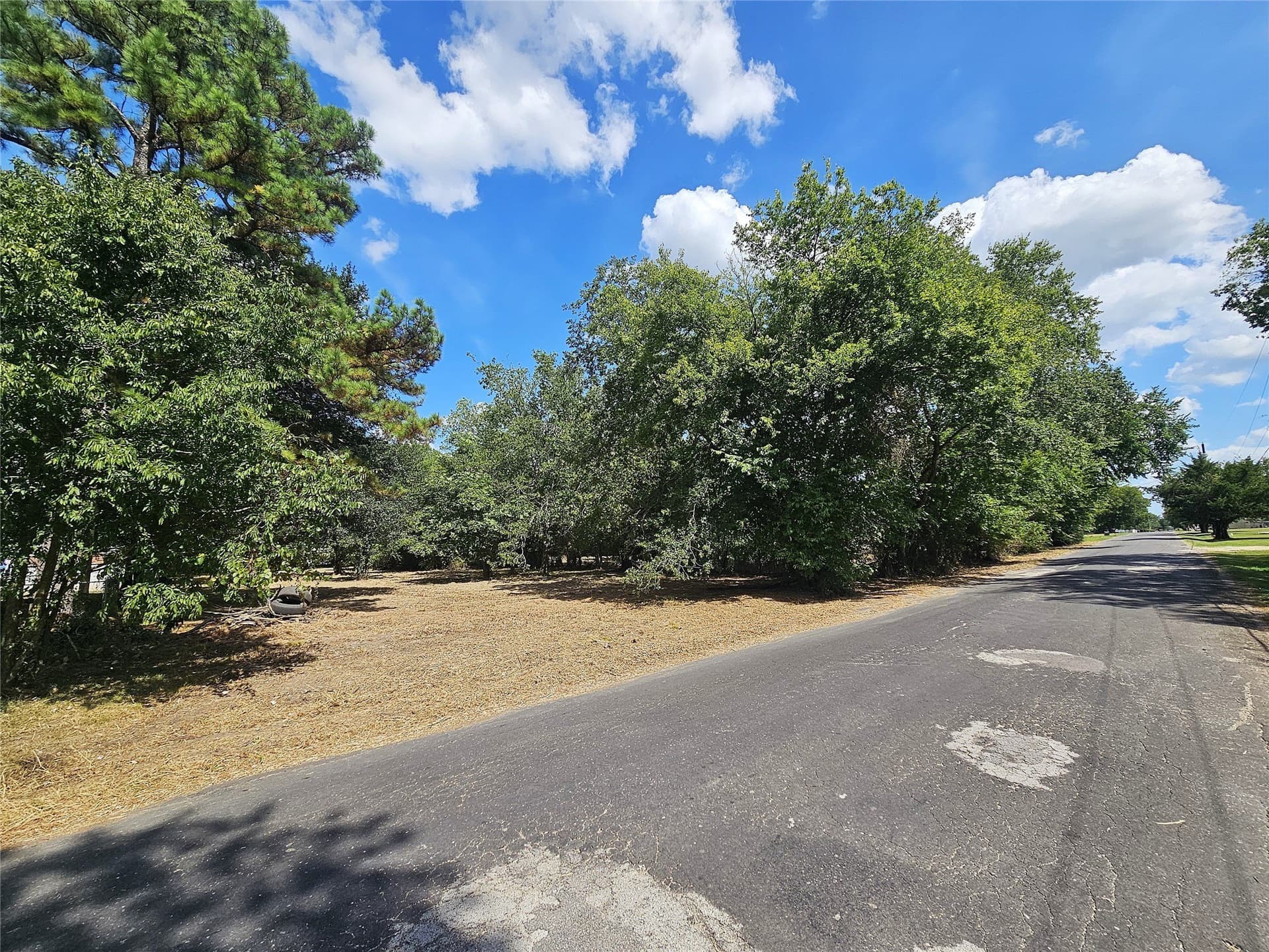 1.11 acres in Limestone County - photo 8